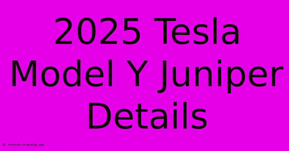 2025 Tesla Model Y Juniper Details