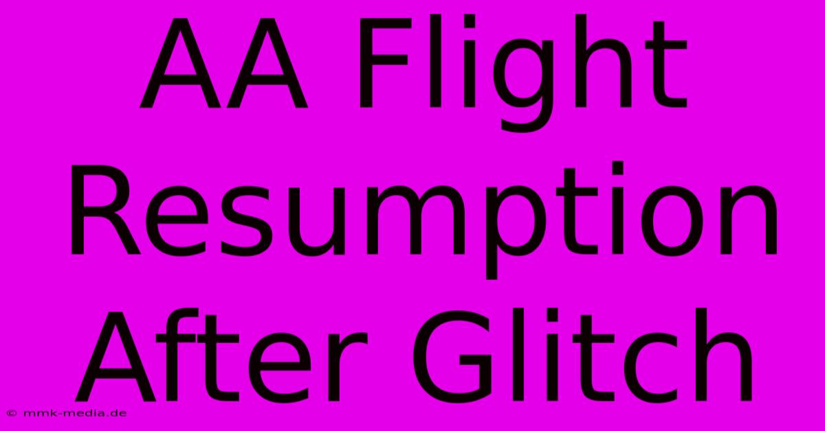 AA Flight Resumption After Glitch