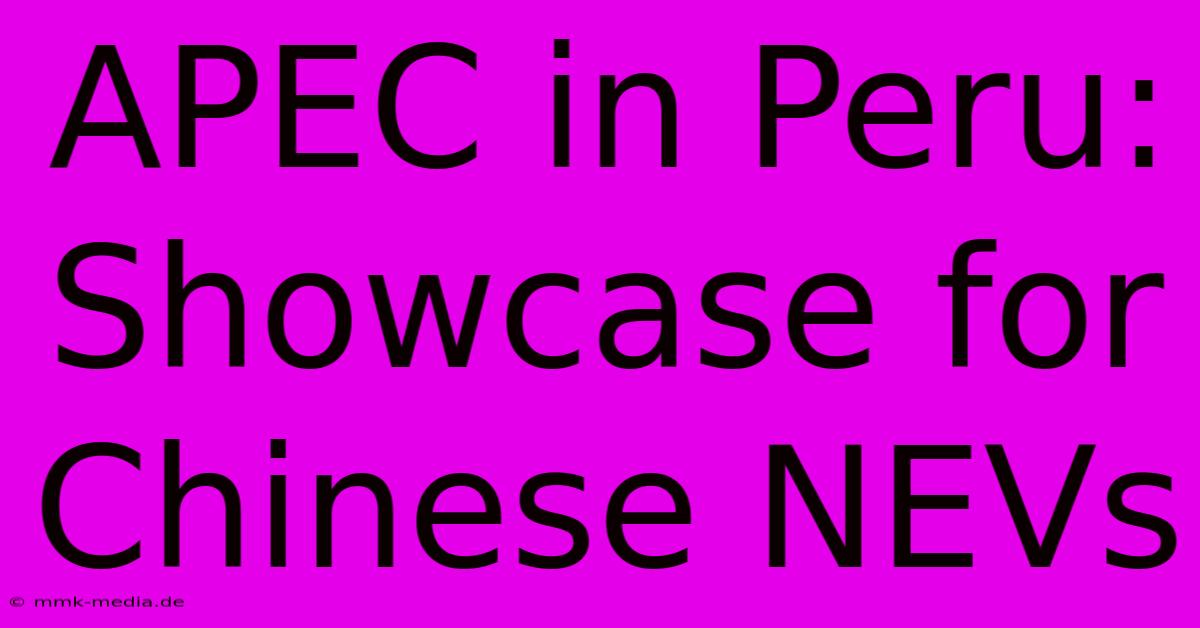 APEC In Peru:  Showcase For Chinese NEVs