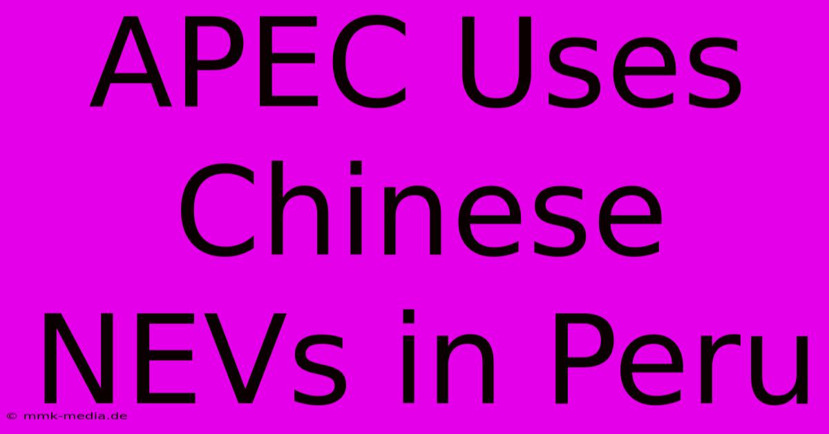 APEC Uses Chinese NEVs In Peru