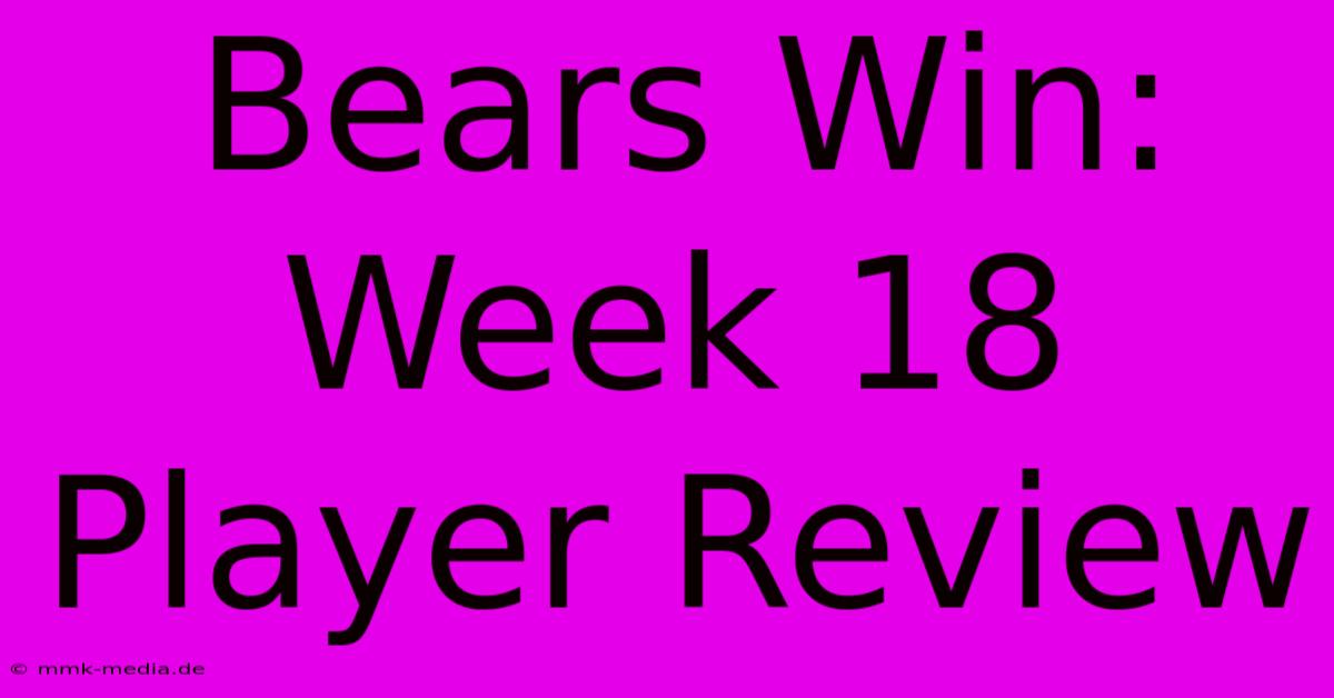 Bears Win: Week 18 Player Review