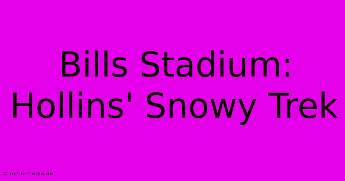 Bills Stadium: Hollins' Snowy Trek