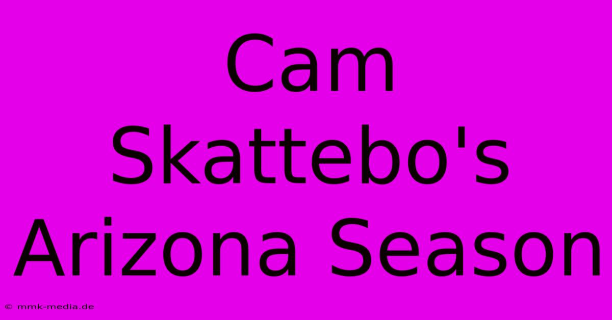 Cam Skattebo's Arizona Season