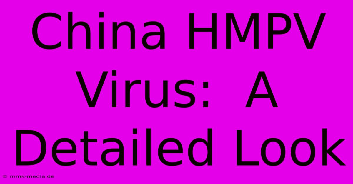 China HMPV Virus:  A Detailed Look