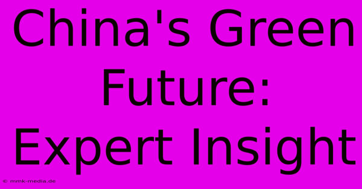 China's Green Future: Expert Insight