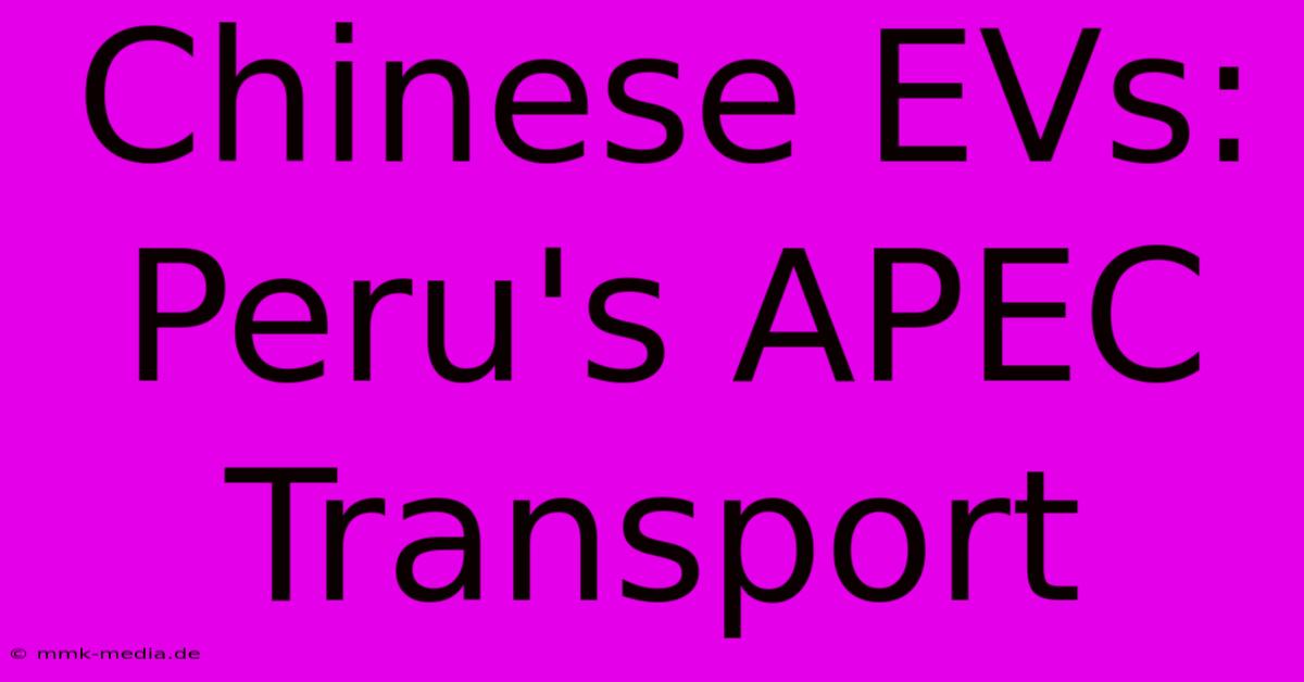 Chinese EVs: Peru's APEC Transport