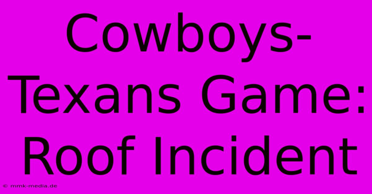 Cowboys-Texans Game: Roof Incident