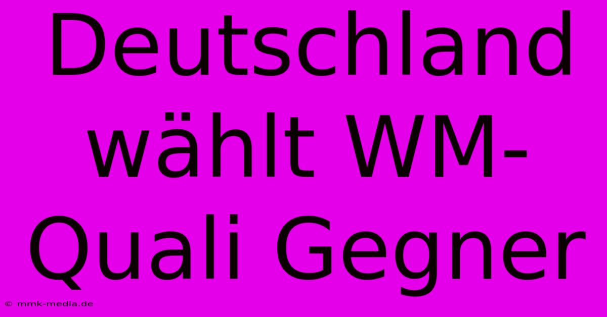 Deutschland Wählt WM-Quali Gegner