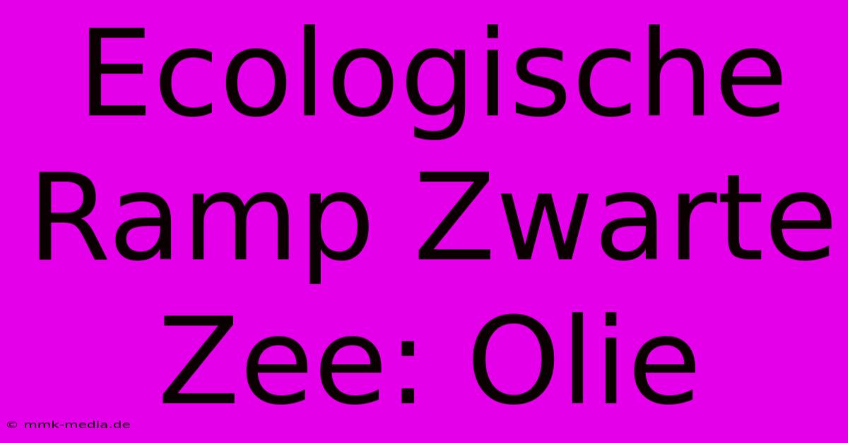 Ecologische Ramp Zwarte Zee: Olie