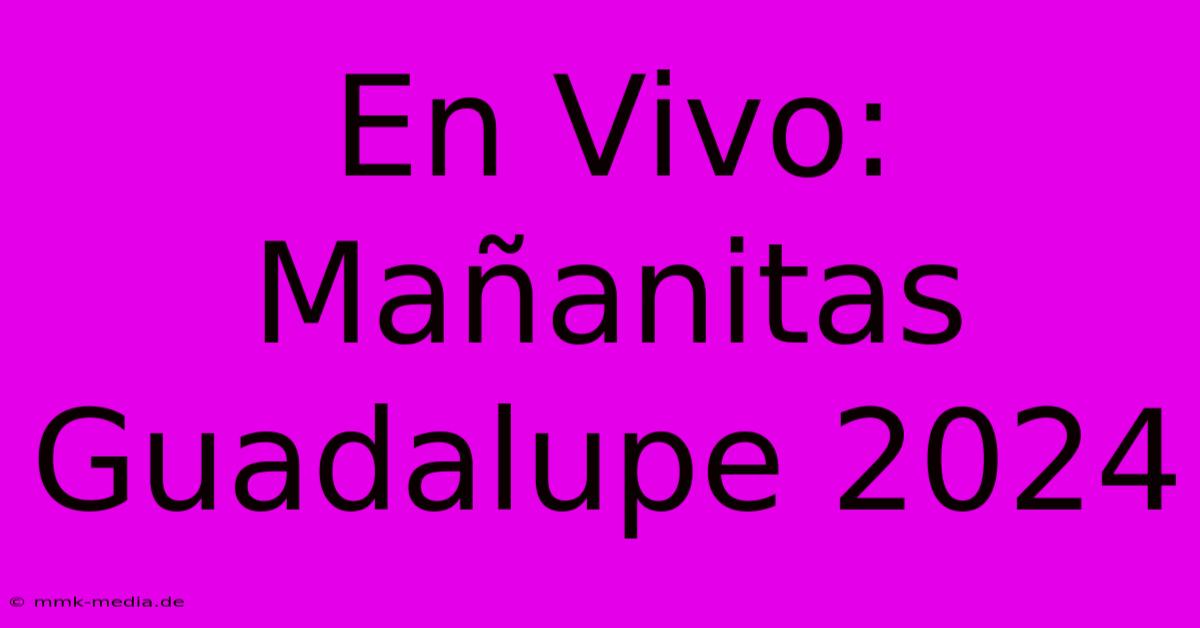 En Vivo: Mañanitas Guadalupe 2024