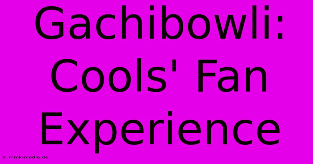 Gachibowli: Cools' Fan Experience