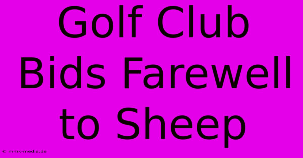 Golf Club Bids Farewell To Sheep