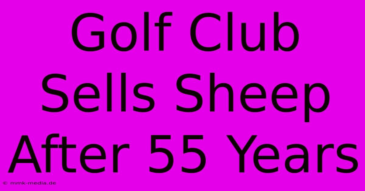 Golf Club Sells Sheep After 55 Years