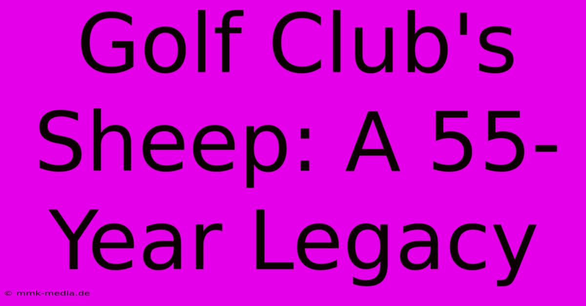 Golf Club's Sheep: A 55-Year Legacy