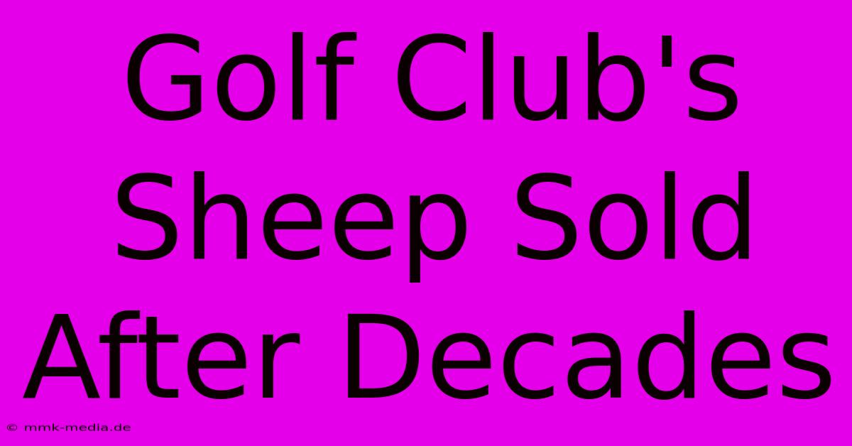 Golf Club's Sheep Sold After Decades