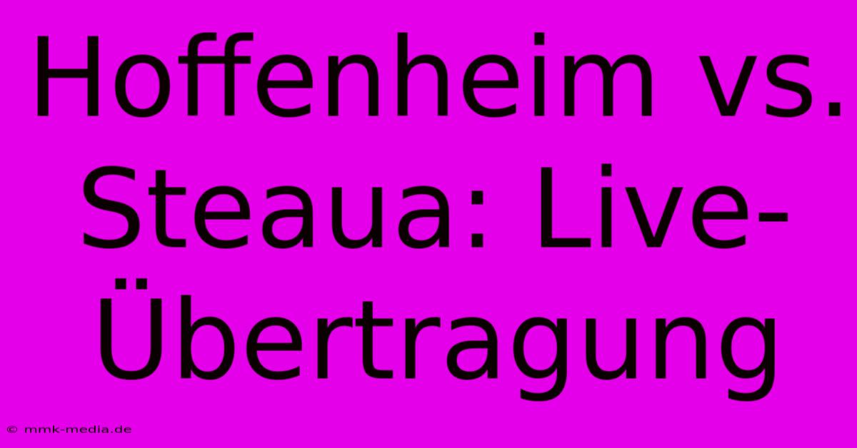 Hoffenheim Vs. Steaua: Live-Übertragung