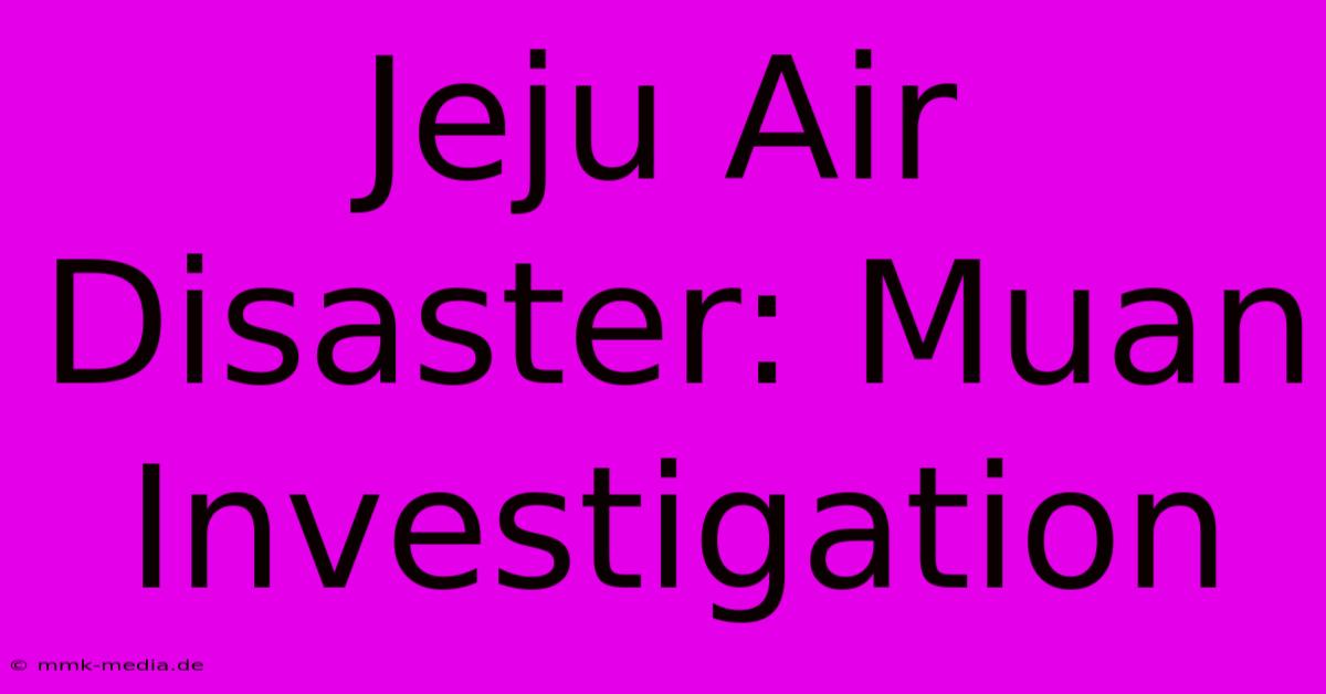 Jeju Air Disaster: Muan Investigation