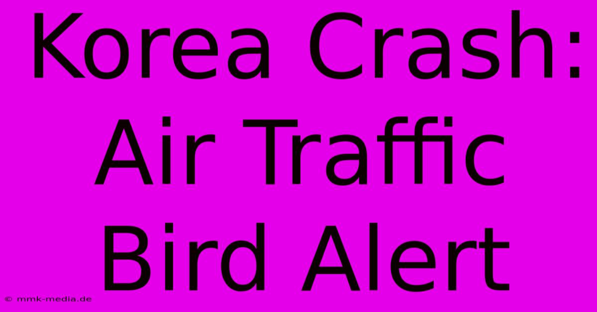 Korea Crash: Air Traffic Bird Alert