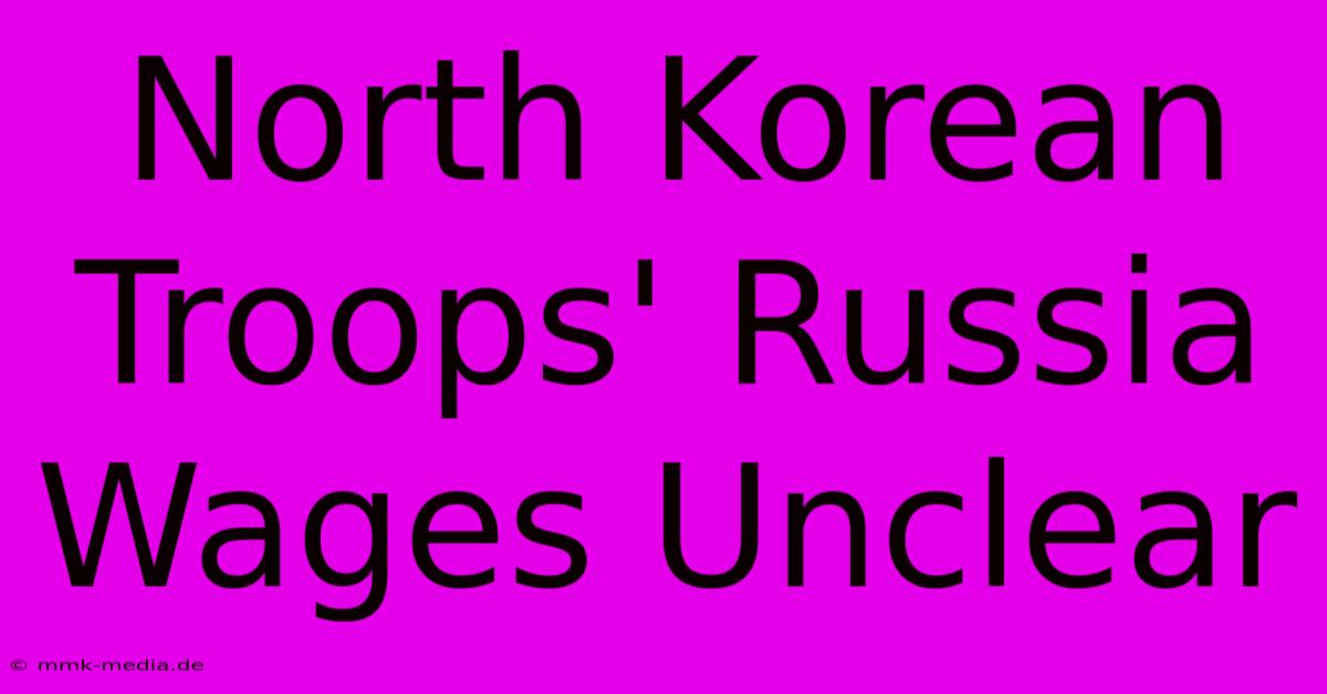 North Korean Troops' Russia Wages Unclear