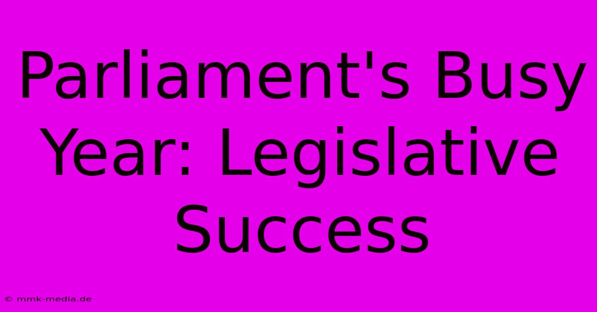 Parliament's Busy Year: Legislative Success