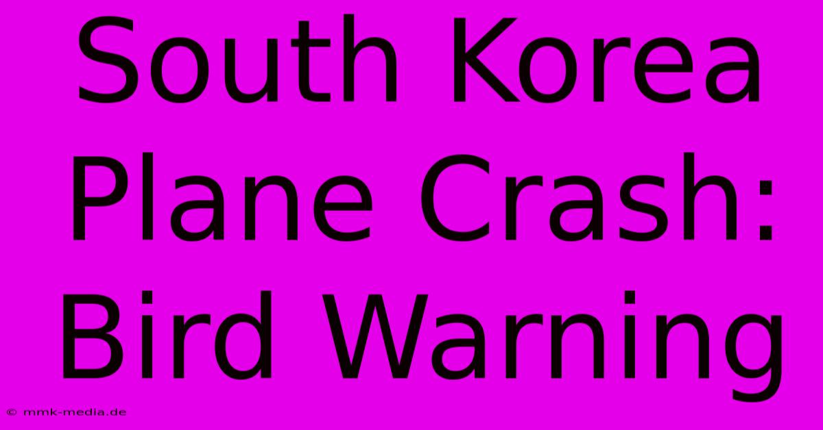 South Korea Plane Crash: Bird Warning