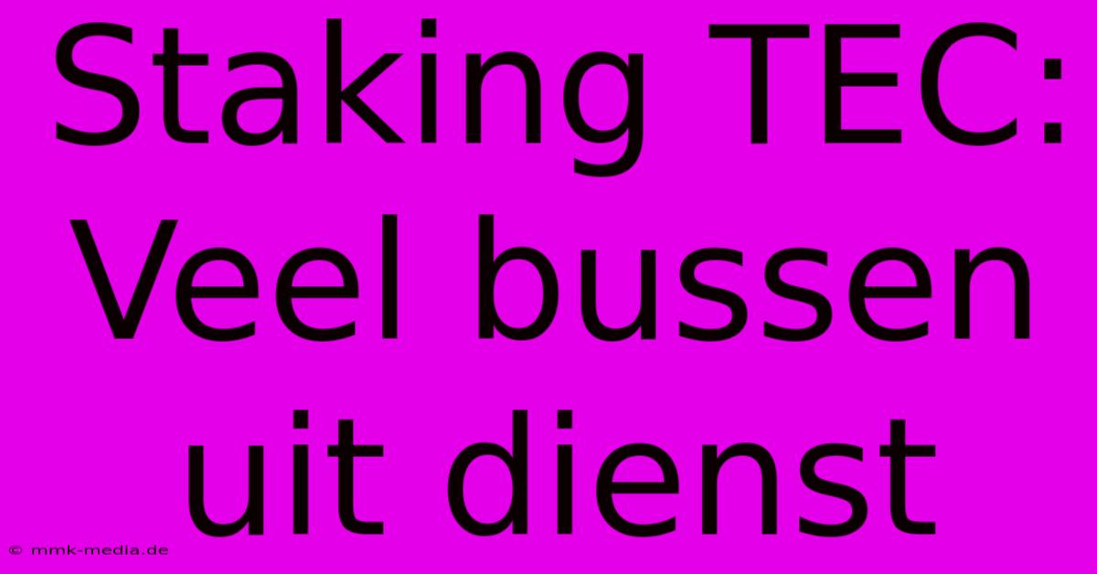 Staking TEC: Veel Bussen Uit Dienst