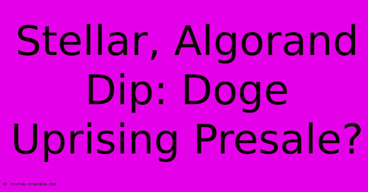 Stellar, Algorand Dip: Doge Uprising Presale?