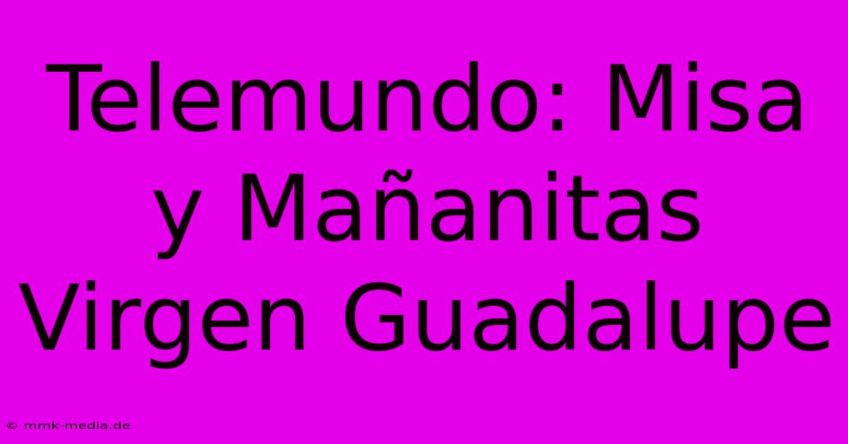 Telemundo: Misa Y Mañanitas Virgen Guadalupe