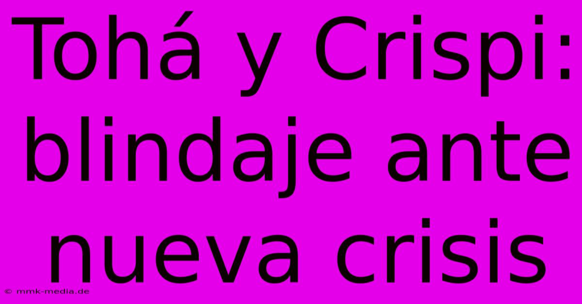 Tohá Y Crispi: Blindaje Ante Nueva Crisis