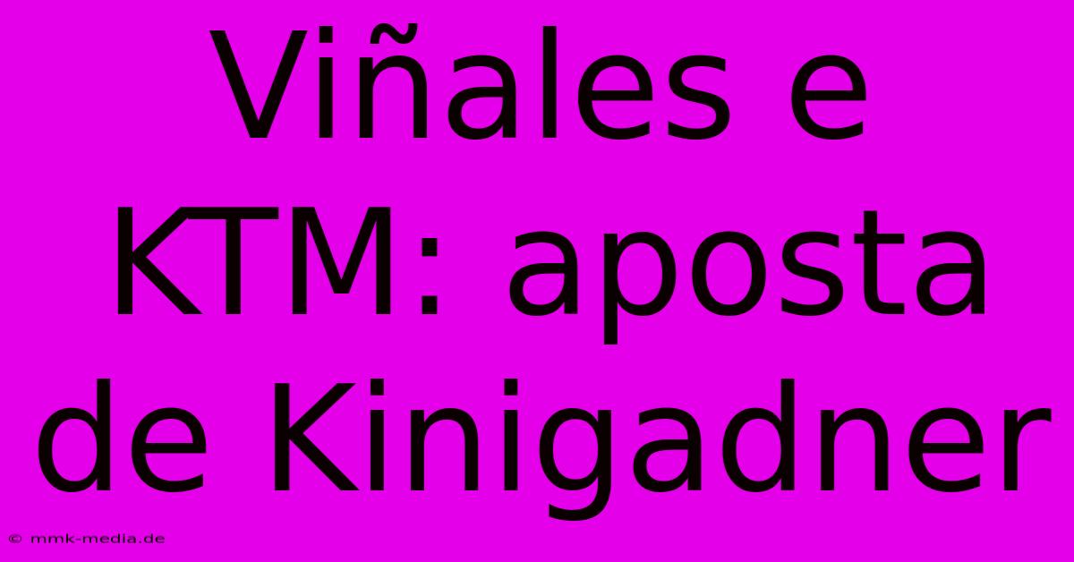 Viñales E KTM: Aposta De Kinigadner