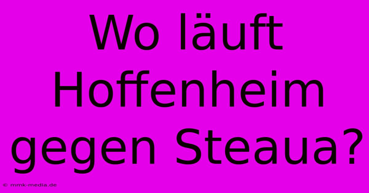 Wo Läuft Hoffenheim Gegen Steaua?